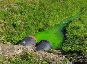 В Туле рядом с Комарками обнаружили ручей с ярко-зеленой водой