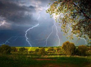 В Тульской области снова объявили метеопредупреждение из-за грозы