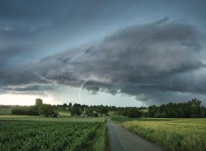21 июня в Тульской области объявили метеопредупреждение из-за грозы и ветра