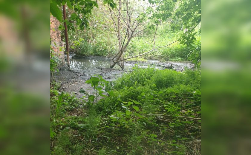 В Кимовском районе участок у садового товарищества затопило канализационными стоками