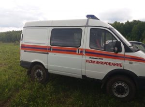 В Арсеньевском районе нашли и обезвредили 2 минометные мины времен ВОВ